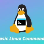 Comandi Linux di base