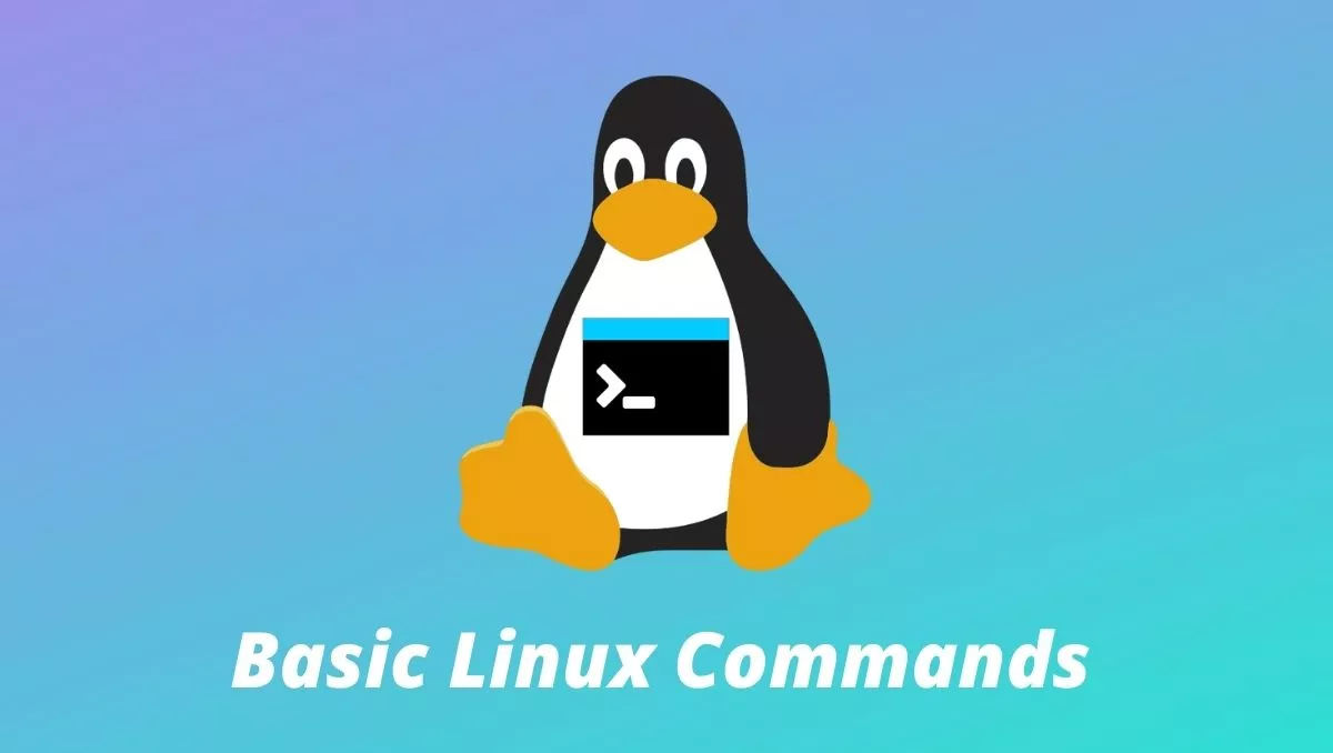 Comandi Linux di base