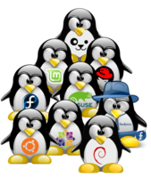 Loghi delle distribuzioni Linux